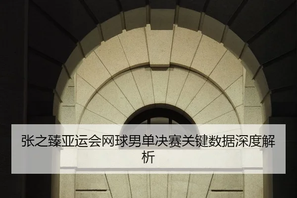 张之臻亚运会网球男单决赛关键数据深度解析